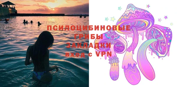 молекула духа Алексеевка