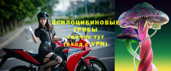 PSILOCYBIN Алексин