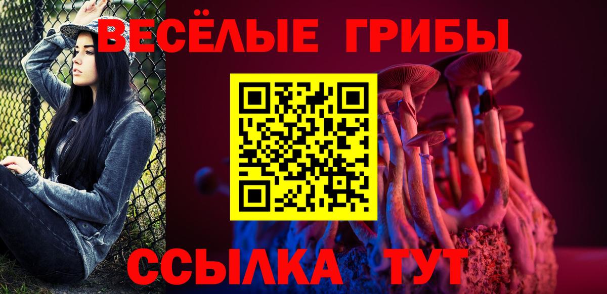 Псилоцибиновые грибы прущие грибы  Вход с VPN  Солнечногорск 